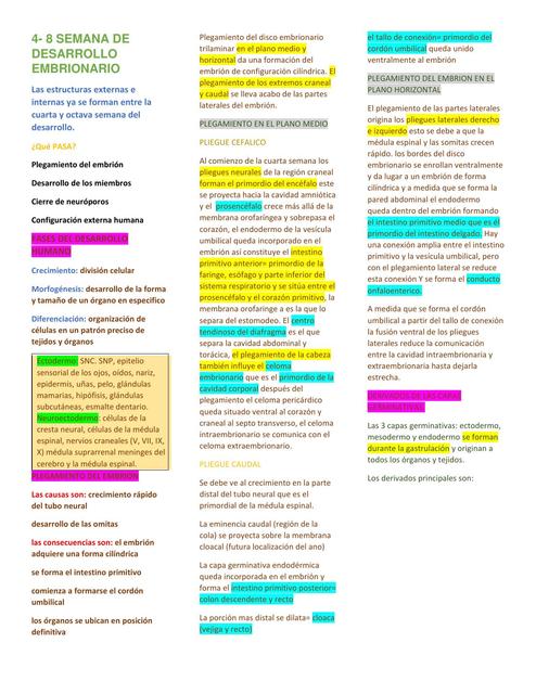 4 a 8 Semana de desarrollo embrionario