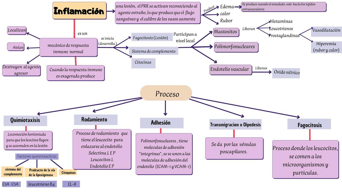 Inflamación 