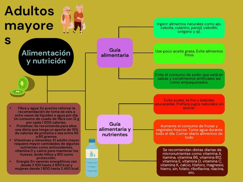 Mapa Conceptual Sobre La Nutricion 5729