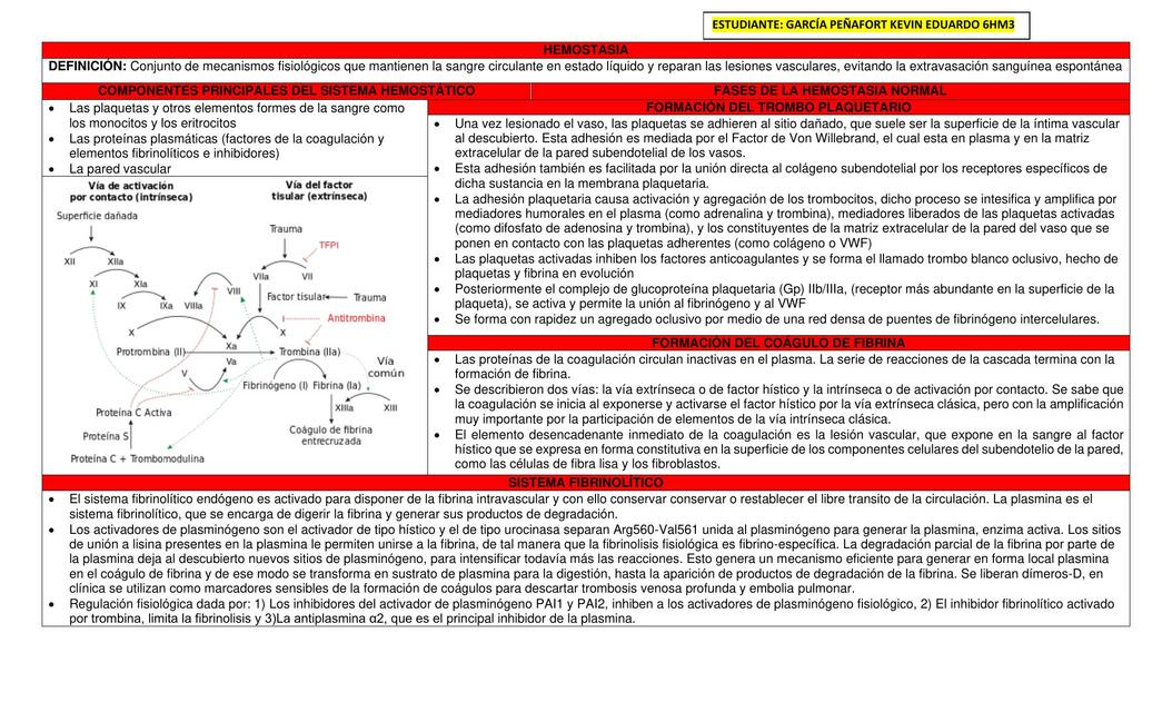 Hemostasia