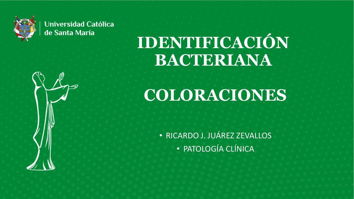 Identificación Bacteriana- Coloraciones 