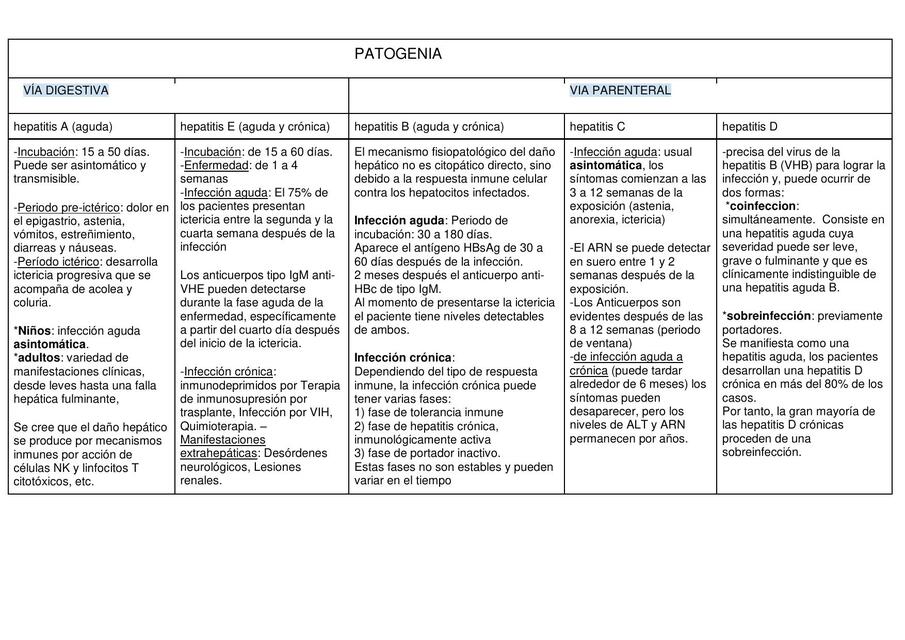 Patogenia hepatitis cuadro