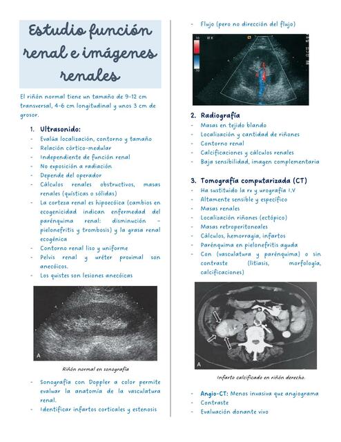 Estudio función renal e imágenes renales