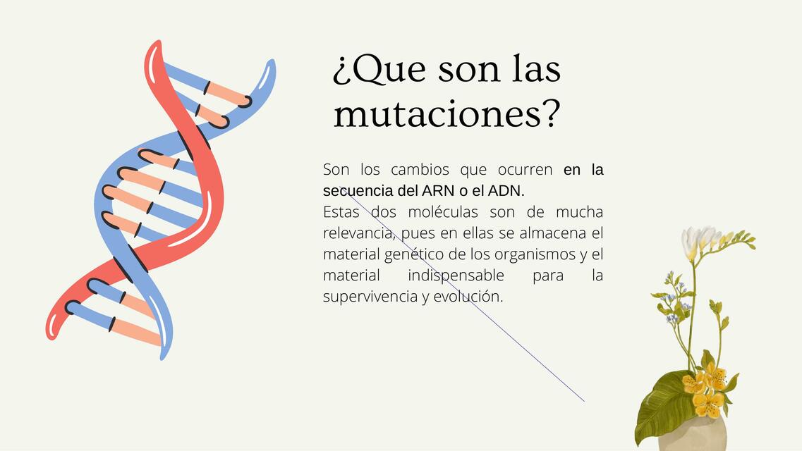 Mutaciones Genéticas 