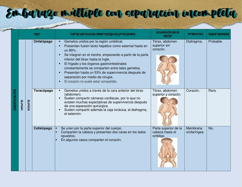 Embarazo Múltiple; Siameses