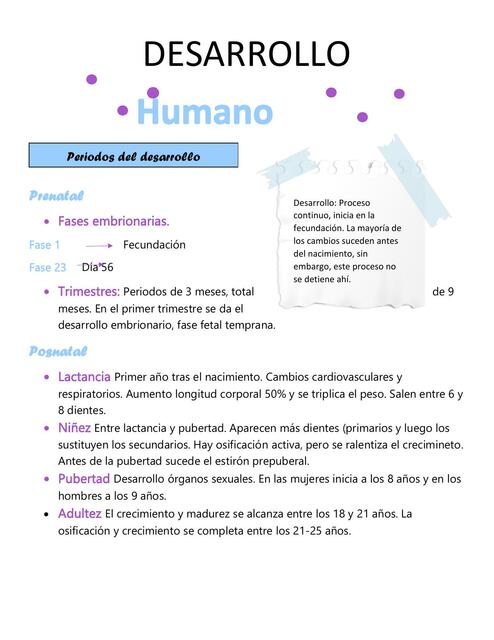 Desarrollo humano