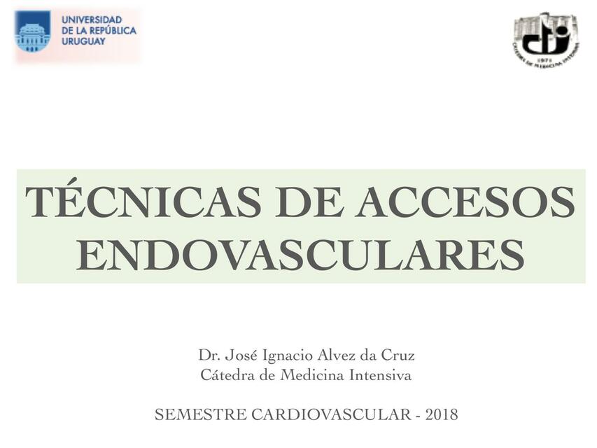 Accesos Endovasculares