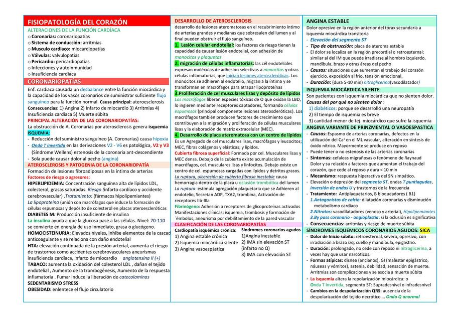 Patologías del Corazón y Pulmón