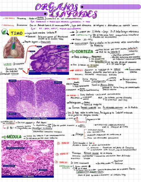 Histología