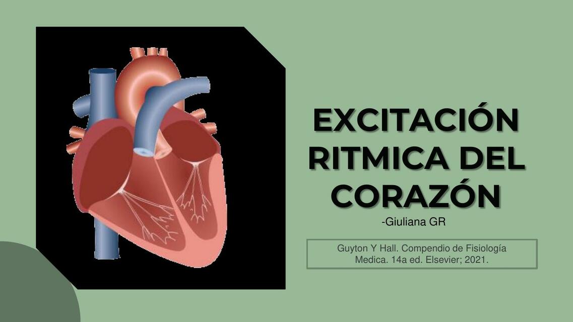 EXCITACIÓN RITMICA DEL CORAZÓN