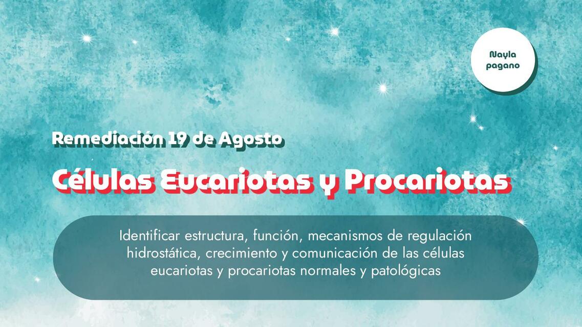 Células Eucariotas y Procariotas 