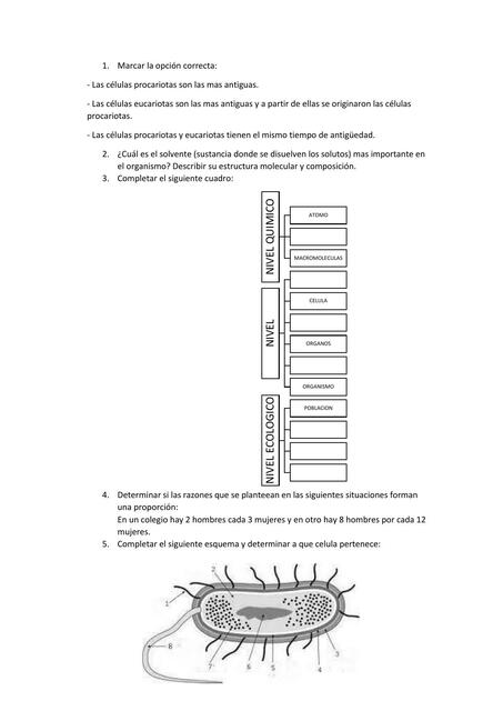 Ejercicios biología celular