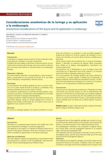 Consideraciones anatómicas de la laringe y su aplicación a la endoscopía