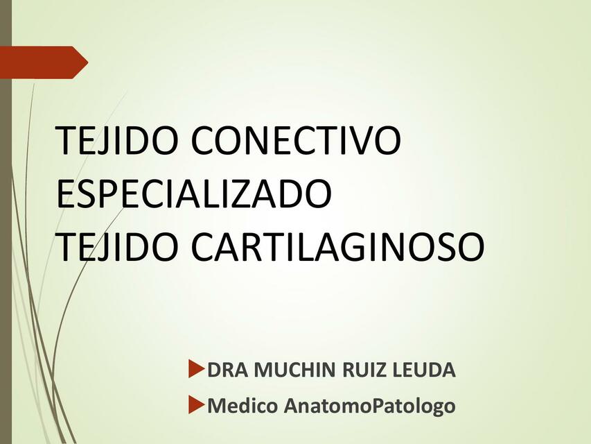 Tejido Conectivo Especializado- Tejido Cartilaginoso 