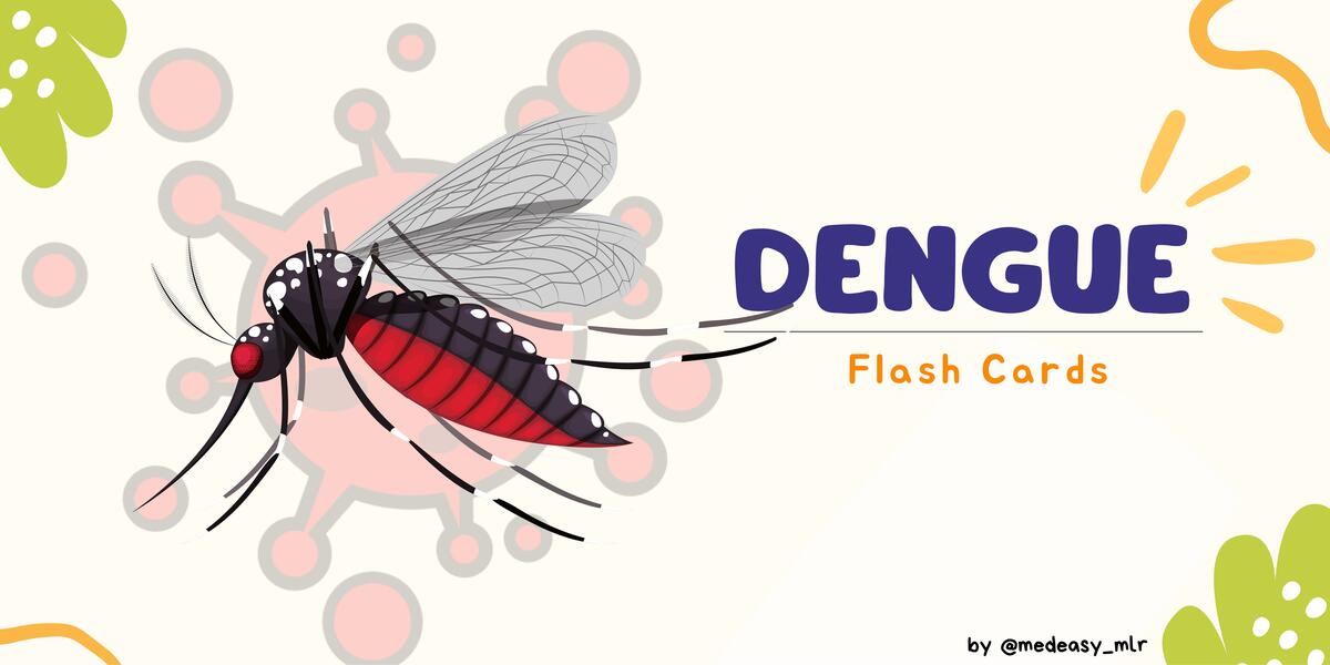 Flash card DENGUE 