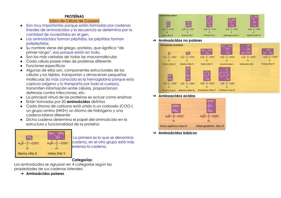 PROTEINAS