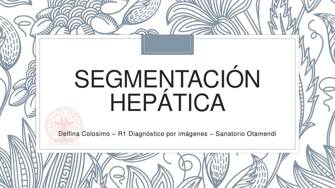 Segmentacion Hepatica