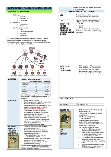 Células, Tejidos y Órganos del Sistema Inmunitario 