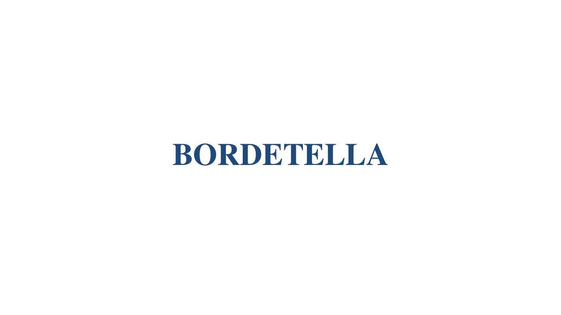 Bordetella 