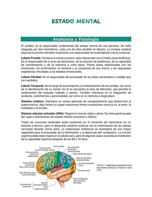 Resumen Estado Mental - Semiología