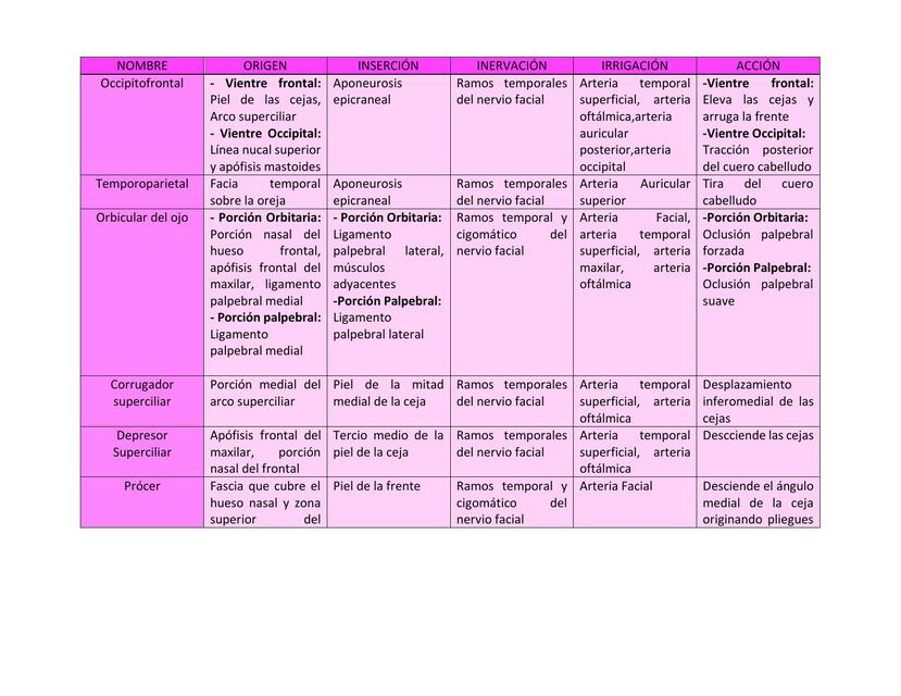 Músculos de la Mímica y Masticación