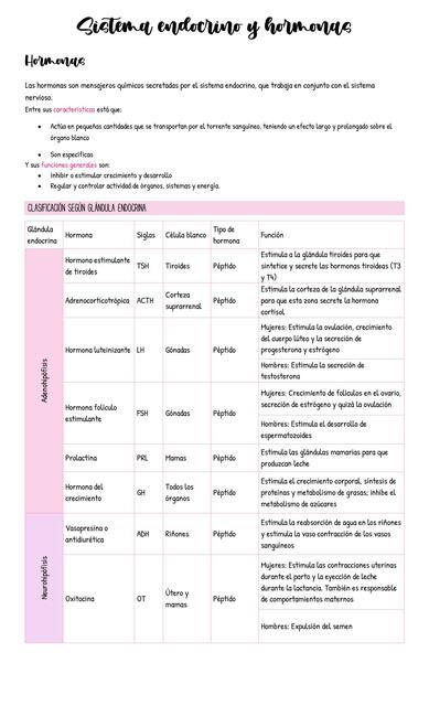 Resumen completo de sistema endocrino (básico)