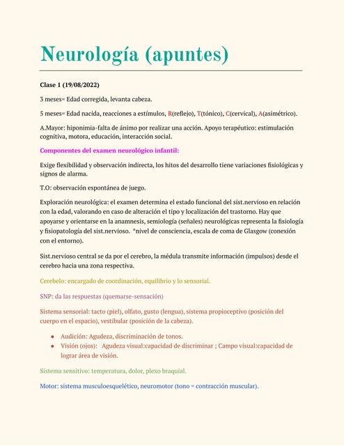 Apuntes de Neurología