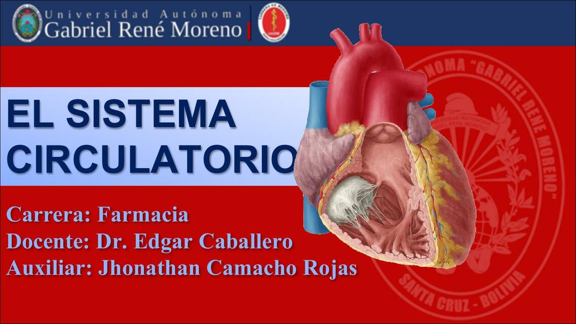 Sistema Cardiovascular UAGRM 