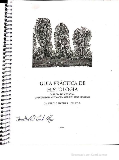 Guía de histología 