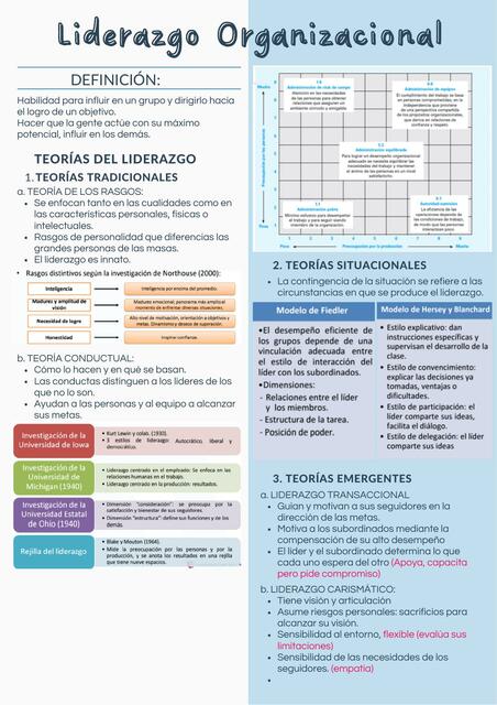 liderazgo organizacional