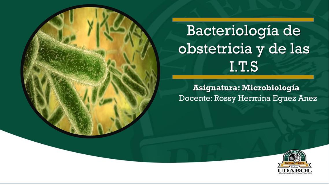 DIAPOSITIVA MICROBIOLOGÍA ITS EN EMBARAZO