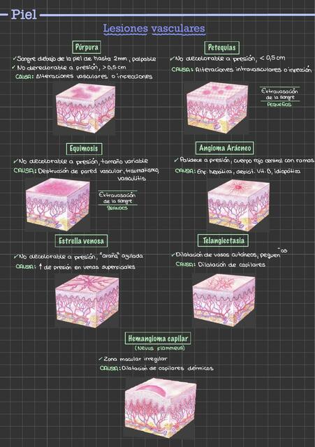 Lesiones Vasculares de la Piel
