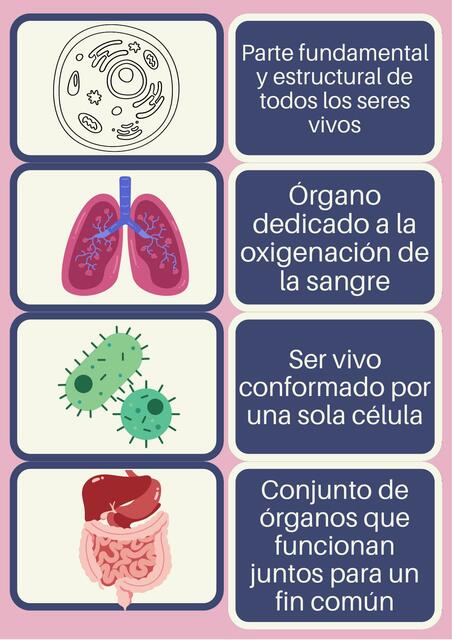 Memorama Científico