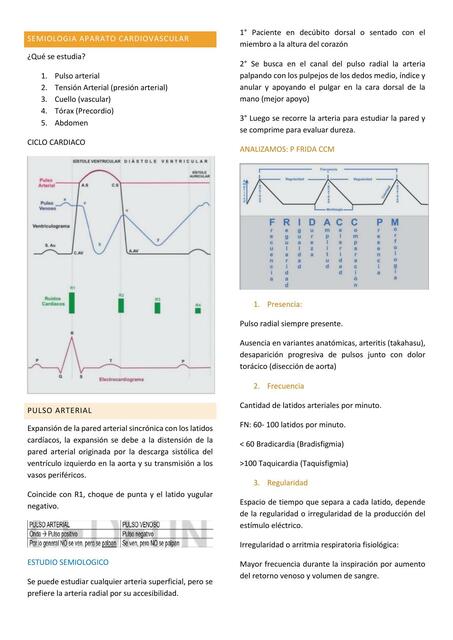 Semiología Aparato Cardiovascular