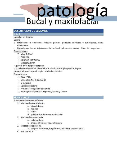 bucal y Maxilofacial