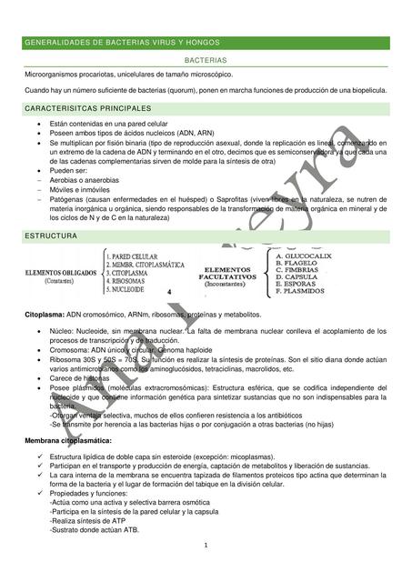 GENERALIDADES Microbiologia