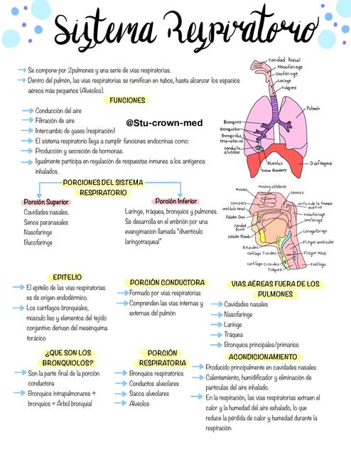 SISTEMA RESPIRATORIO