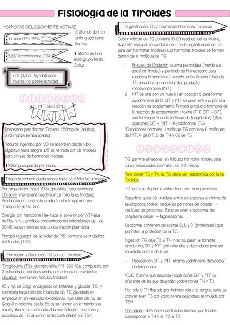 FISIOLOGÍA DE LA TIROIDES