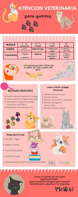 Atención Veterinaria para Felinos 