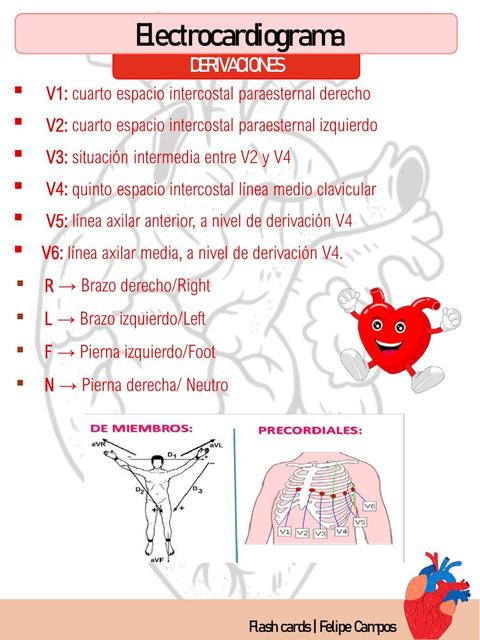 Flash Cards Electrocardiograma