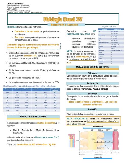 Fisiología Renal, Reabsorción y secreción