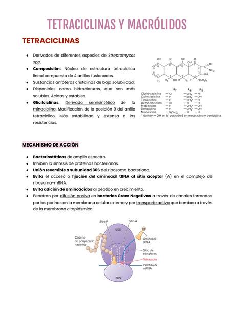 TETRACICLINAS Y MACRÓLIDOS