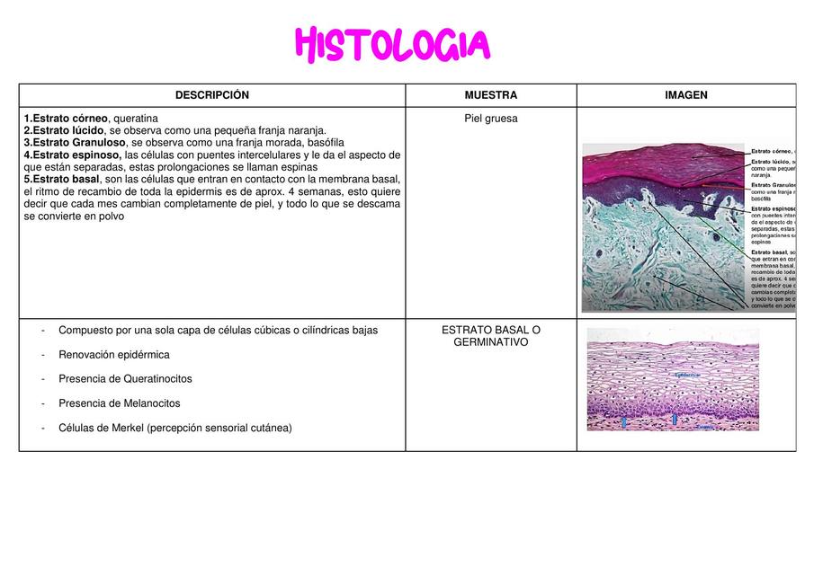 Histología