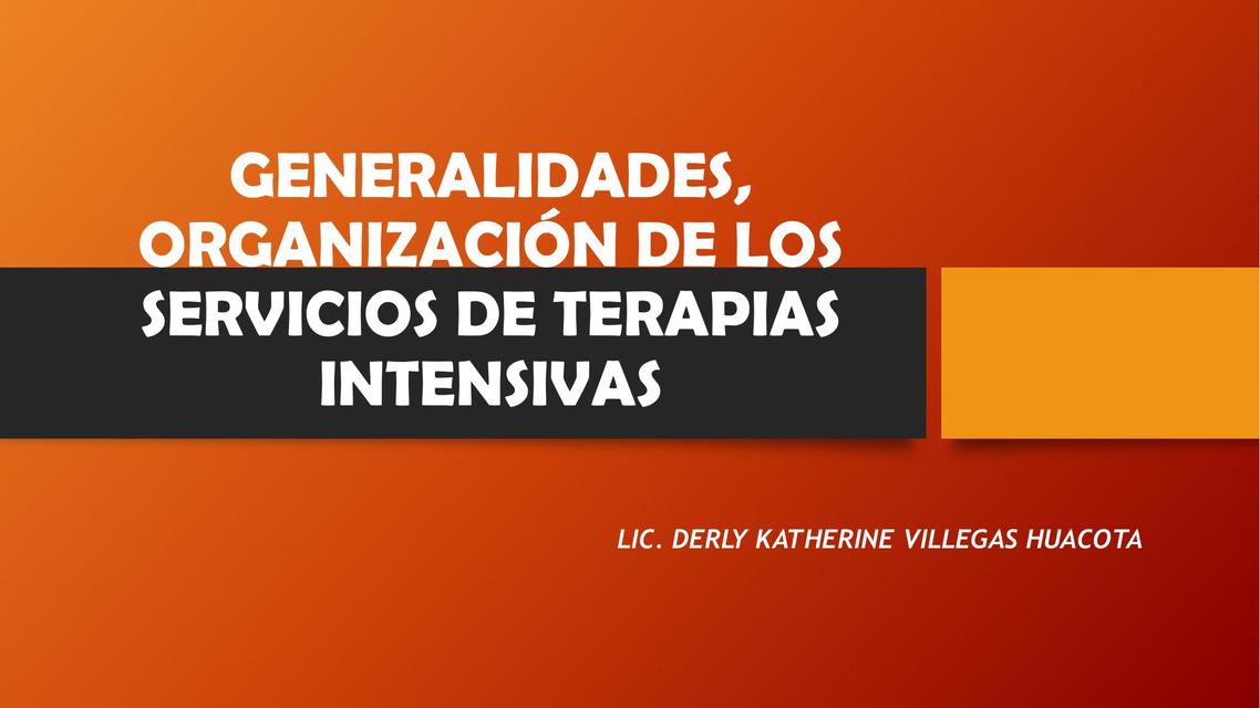 Generalidades organización de los servicios de terapias intesivas 1