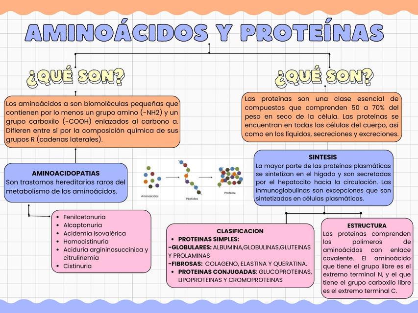 Mapa Aminoacidos Y Proteinas Flor Salguero Udocz 0445