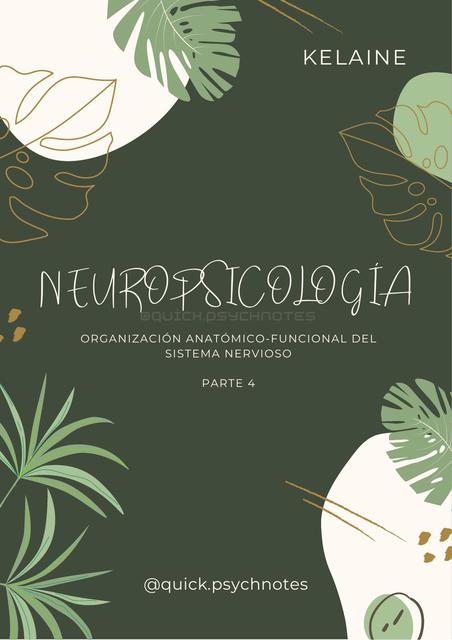 NEUROPSICOLOGÍA PARTE 4