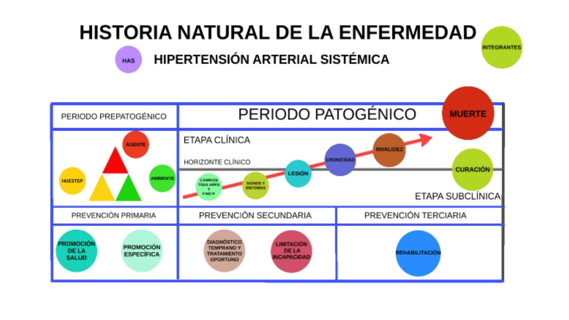 Historia Natural de la Enfermedad 