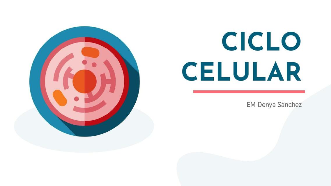 CICLO CELULAR