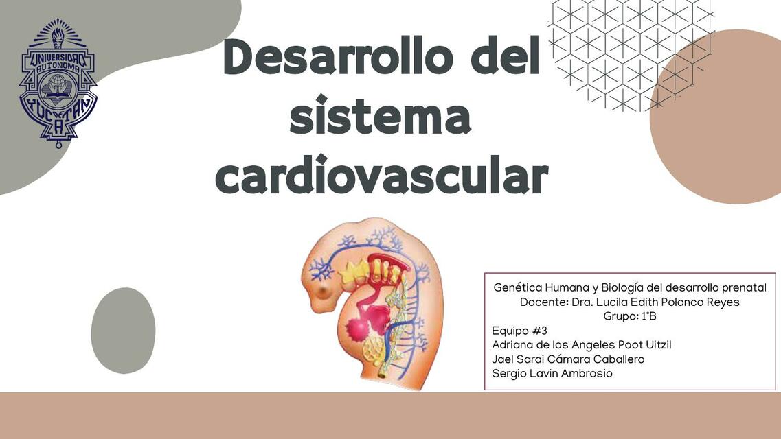 Tema Cardio Embriología