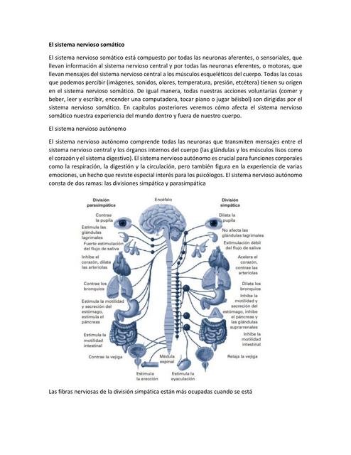 Temas de psicologia